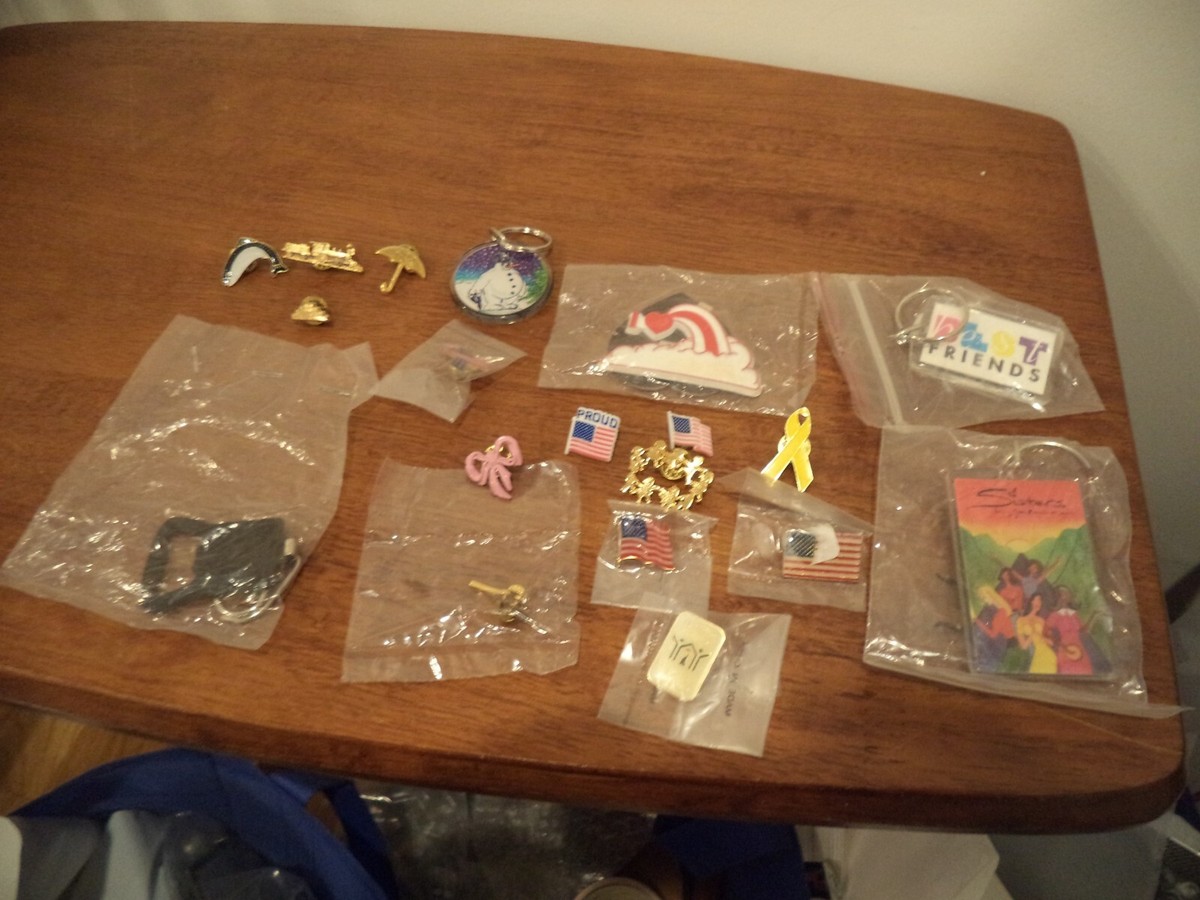 Lot 18 Vintage Souvenir, Misc. Enamel Pins & KEY CHAINS & MAGNETS