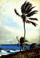 high quality oil painting  handpainted on canvas- Palm tree