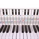 Piano & Keyboard Chord Chart 650x155x1mm Chart Chord Keyboard Note Piano