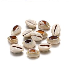 100 Pcs White and Lvory Natural Cowrie Shells 8.0 Millimeters, Matte