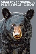 8" GREAT SMOKY MOUNTAINS NATIONAL PARK BEAR HELMET STICKER DECAL MADE IN USA