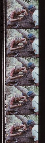 Jurassic Park 35mm Film Cell strip very Rare var_a - Picture 27 of 132