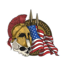 Spartan Helmet USA Flag Skull Patch Bumper Sticker Military Vinyl Decal 5"