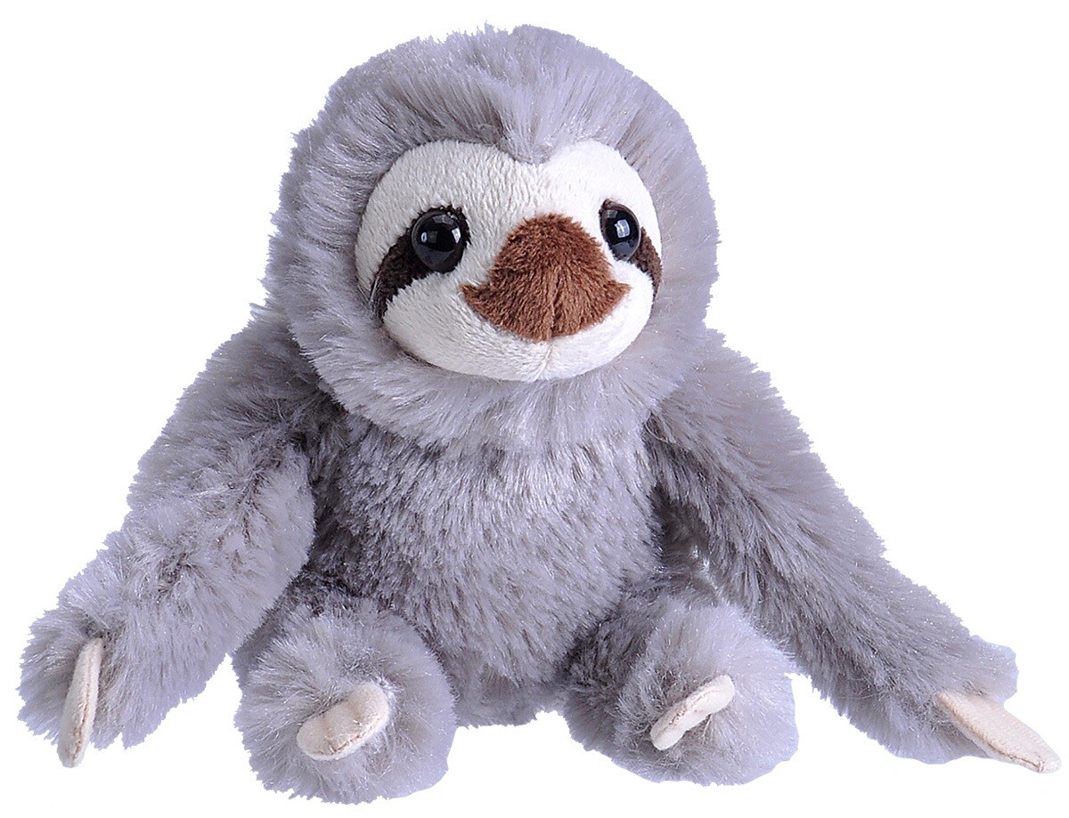 NEW SLOTH WILD REPUBLIC POCKETKINS SOFT TOY TEDDY BEAR PLUSH CUDDLY