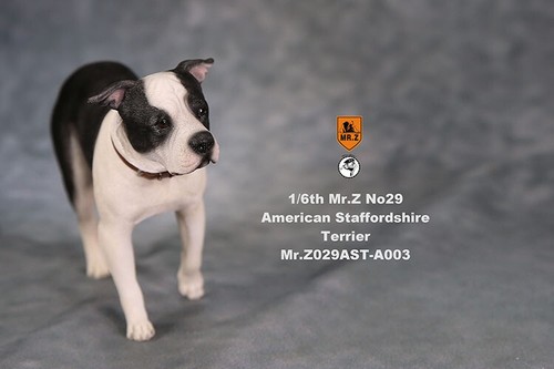 Statua in resina cane Mr.z scala 1/6 NO29 American Staffordshire Terrier IN MAGAZZINO - Foto 19 di 28