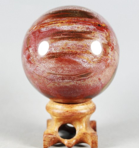 A 252g PETRIFIED WOOD AGATE Crystal With Rose Wood Stand From Madagascar - Picture 7 of 12