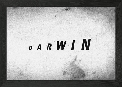 Darwin's Evolution (Typography Art) Framed Wall Art Poster Canvas Print Picture