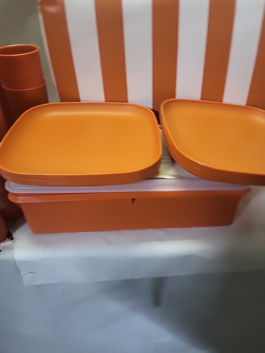 TUPPERWARE PICNIC SET~1970's~Orange/White Stripes~Cups