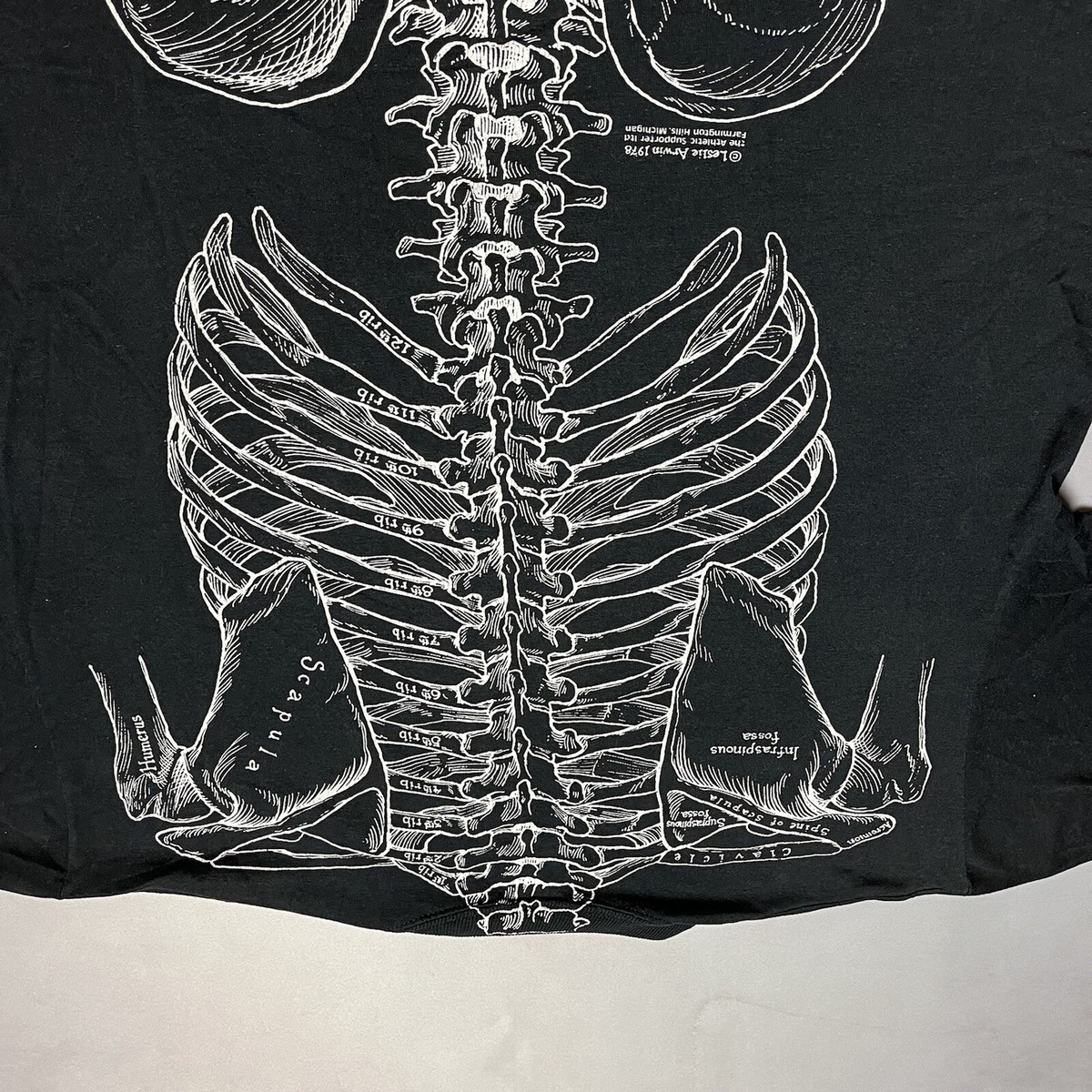 Leslie Arwin 骨プリントTシャツ 人体 解剖 1978年 Vintage Leslie Arwin Art Skeleton Anatomy Tee Shirt 2 Sided