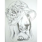 Bild 10 von 12