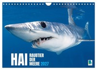 "Calendar 2027 · US Version · Shark: Predator Of The Seas (Wall Calendar 2027 12\""