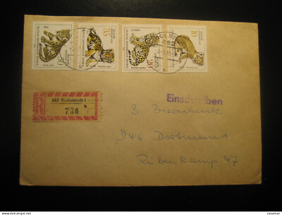 RUDOLSTADT 1980 Zoo Leipzig Lion Feline Tiger Panther Leopard Registered Cancel