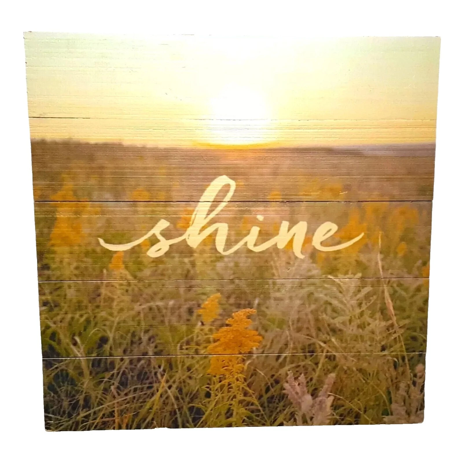 Hallmark Decoración del hogar