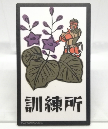 training school Monster Hunter Hanafuda Hunting Card KARIFUDA CAPCOM ...