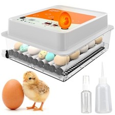 Egg Incubator for Hatching - 36 Eggs - Stable...