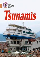 Emily Dodd - Tsunamis Band 12/Copper - Paperback - G245Z