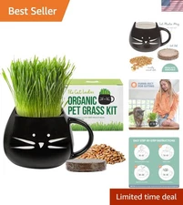 Pet-Friendly Organic Cat Grass Kit – Easy Grow Black Cat Planter for Indoor Cats