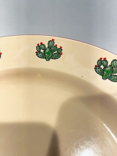Marble Canyon Enamelware Prickly Pear Cactus 10" Dinner Plates Set of 2 - Picture 4 of 4