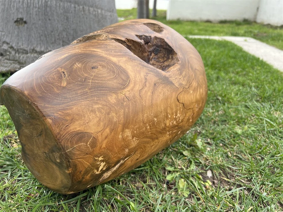 Teak Root 11.8'' Tall Shallow Vase Natural Wooden Decorative Home Decor Ornament - Image 4 of 4