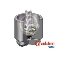 Autofren 54Mm Kolben Bremssattel Hinten Passend FüR Ford Transit | D025691LK