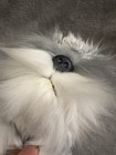 Bild 9 von 11