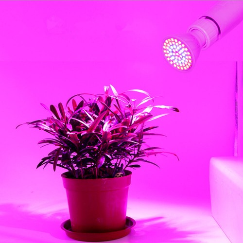 Pflanzenleuchte GU10 MR16 LED 5W 10W Birne Leuchtmittel Lampe Strahler Glühbirne - Bild 4 von 12