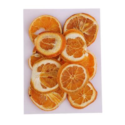 10x gepresste Früchte Orange Scheiben Verzierung Zum Selbermachen Kunst Geschenk Dekor