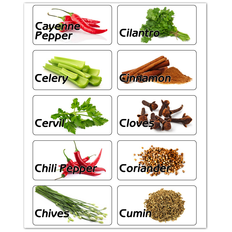 Spices Labels Rectangle 60 KITCHEN SPICES HERB JAR BOTTLES RECTANGLE ILLUSTRATED PRINTED ...