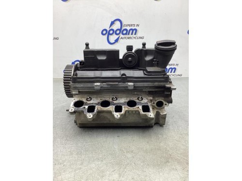 Zylinderkopf VW Polo V 6R, 6C 03P103469A P18386237