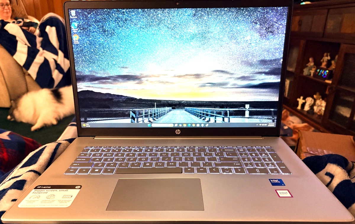 16 GB RAM PC Laptops & Netbooks 500 GB SSD Capacity for sale | eBay