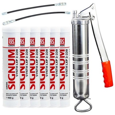 Lithium-Komplexfett Fett Lukoil Synth LXP 2-220 6 X 400g + Fettpresse BockTec