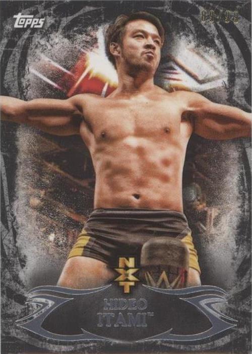 2015 Topps WWE Undisputed - Hideo Itami #NXT 11 - 1 of 1