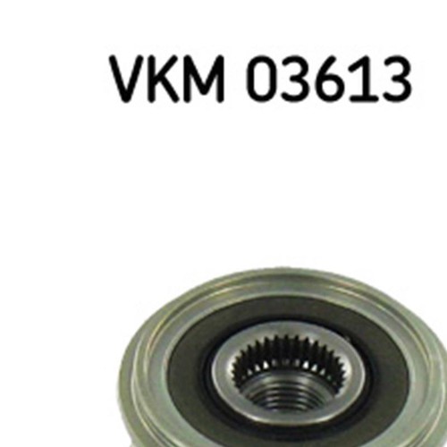 Alternator Freewheel Clutch Pulley SKF for Kangoo Kubistar Thalia Clio Logan VKM - Picture 2 of 6