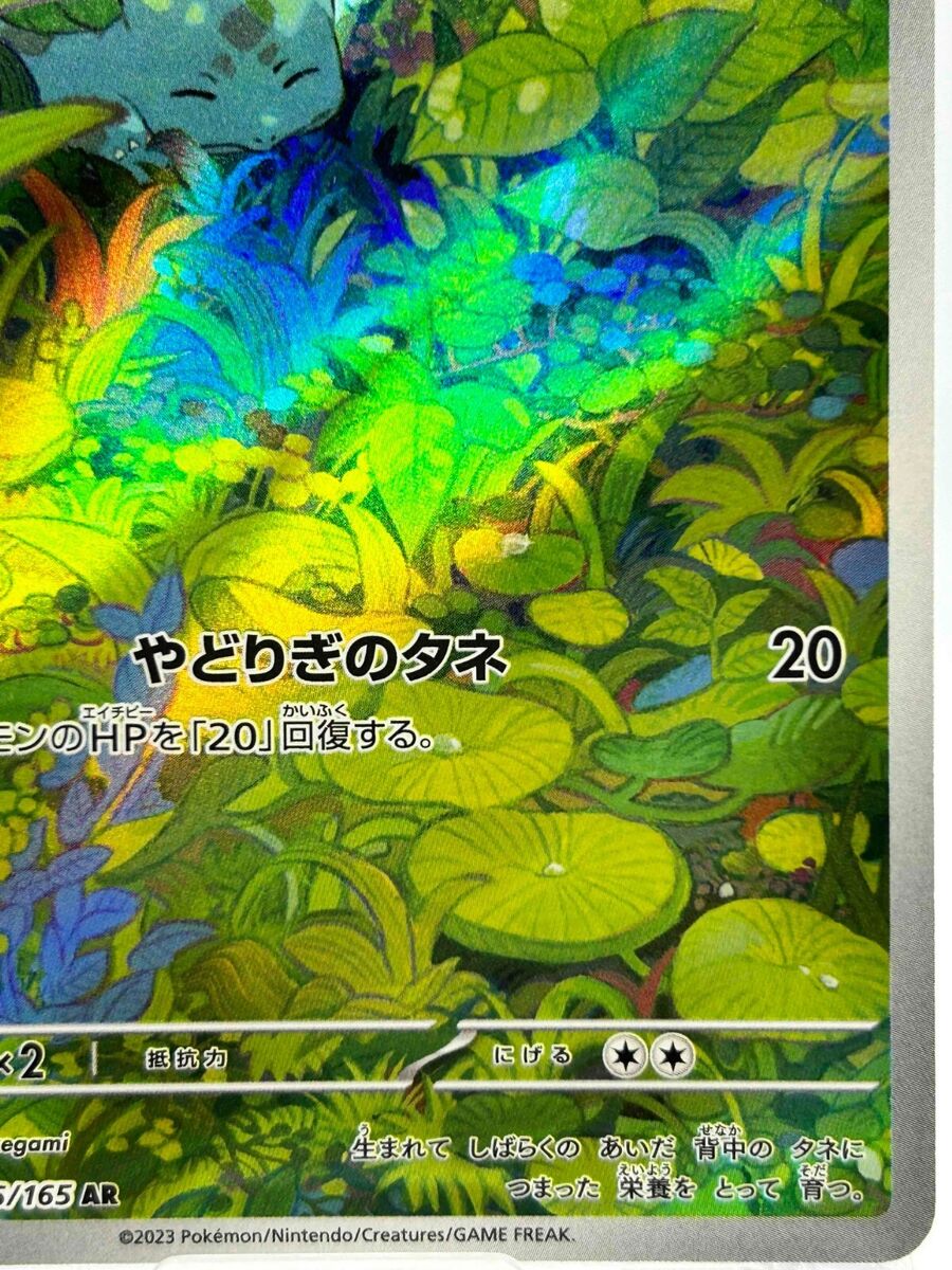 Venusaur ex SAR 200/165 Bulbasaur Ivysaur AR Set Pokemon Venusaur ex SAR 200/165 Bulbasaur Ivysaur AR Set Pokemon