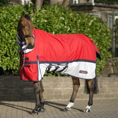 JOHN WHITAKER RASTRICK COMBO AIRFLO FLIEGENTEPPICH