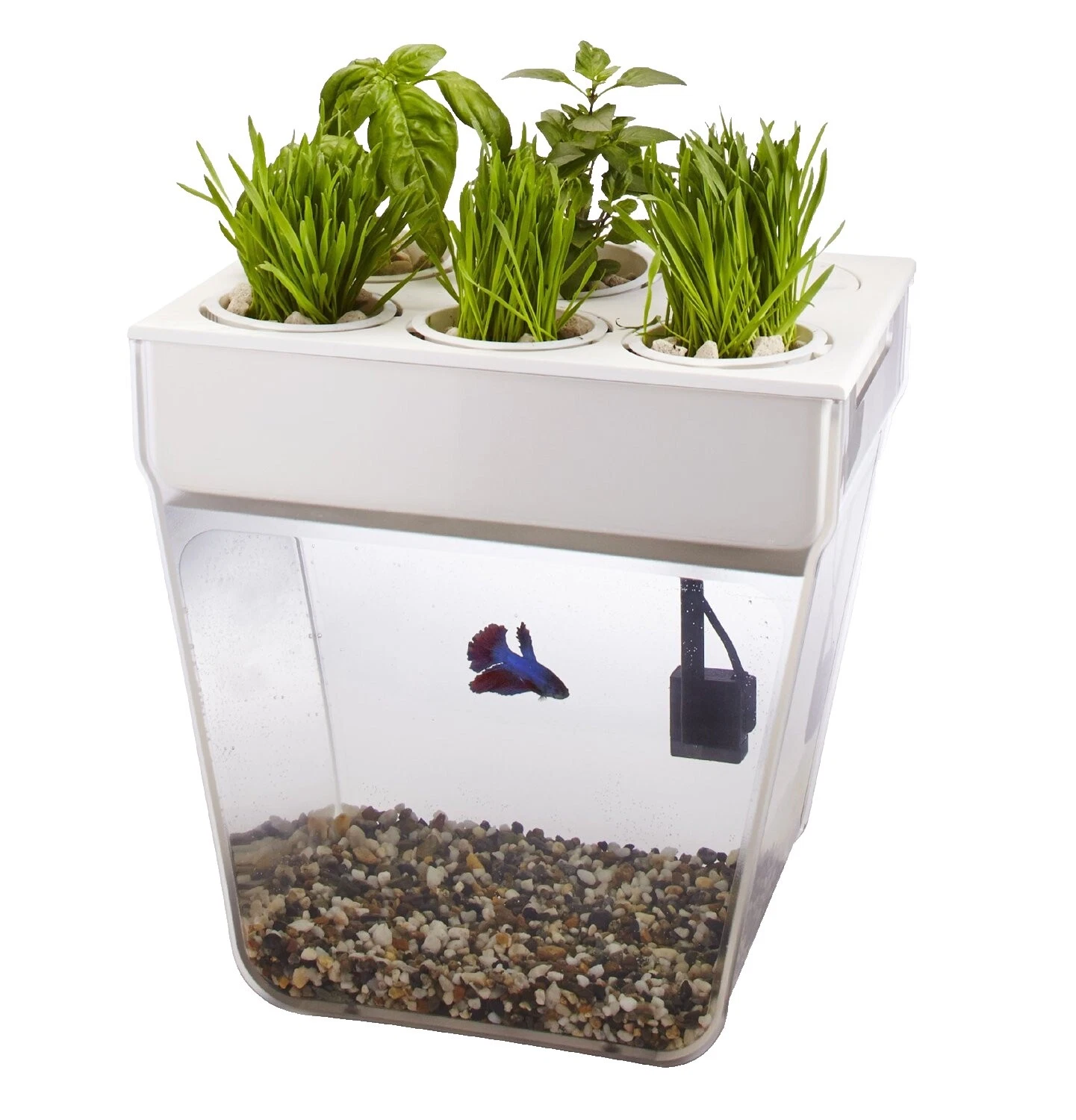 Acrylic Tank Square Complete Aquarium Setups