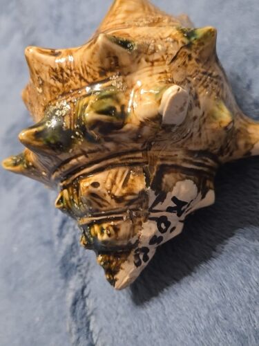 Antique Majolica Finish Conch Shell Themed Trinket Box 3.5" Florida Memorabilia - Picture 7 of 7