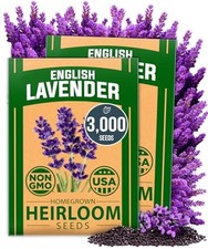 2-Pack Non GMO English Lavender Seeds 3,000 Wildflower Seed for Planting