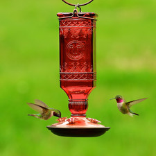 Perky Pet Red Square Antique Bottle Glass Hummingbird Feeder
