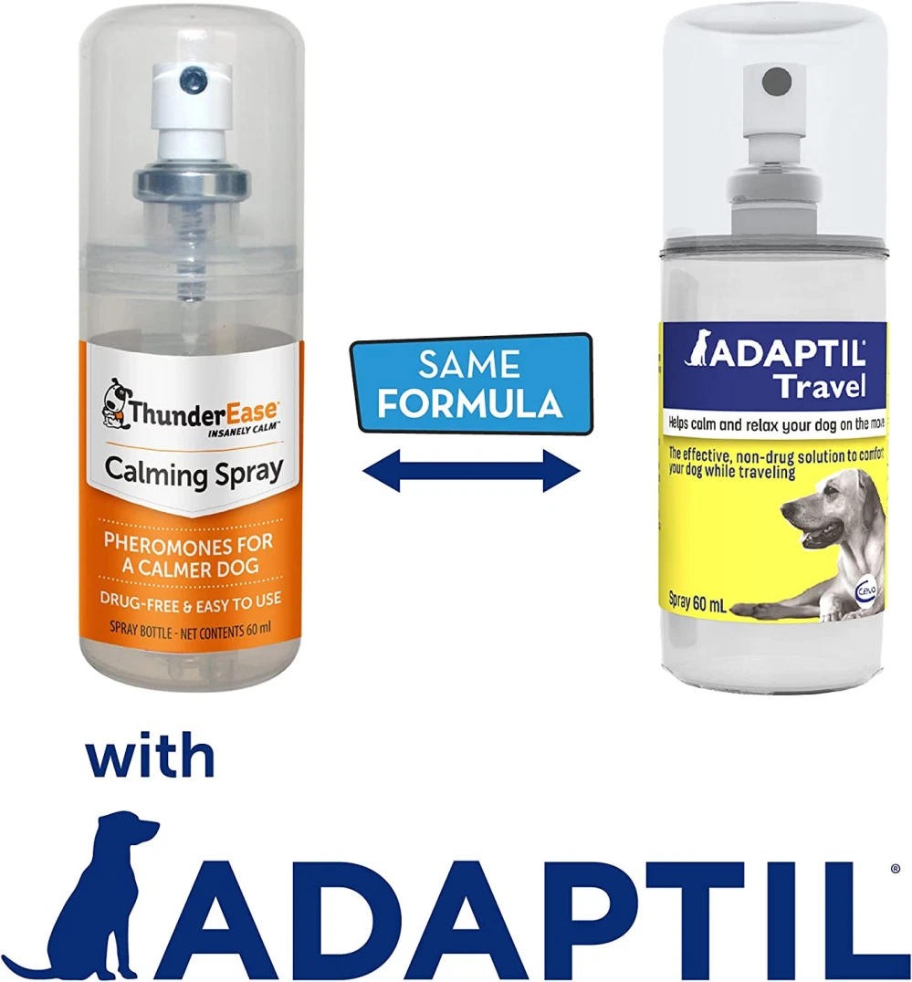 Dog appeasing pheromone hot sale spray