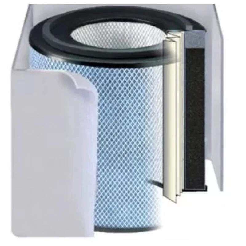 Filtro de repuesto Austin Air HealthMate Plus - blanco-FR450B Foto 2 de 4
