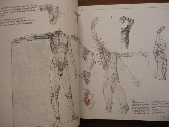 アート・デザイン・音楽 Struttura uomo in movimento Struttura uomo in movimento Manuale di anatomia artistica