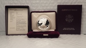1989 American Eagle Silver Dollar | eBay