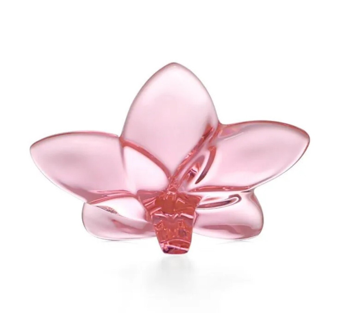 Baccarat Figure Bloom Crystal Flower Pink Baccarat 2814970 Baccarat Figure Bloom Crystal Flower Pink Baccarat 2814970