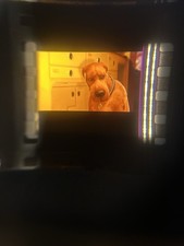 Single Film Cell Scooby Doo Monsters Unleashed