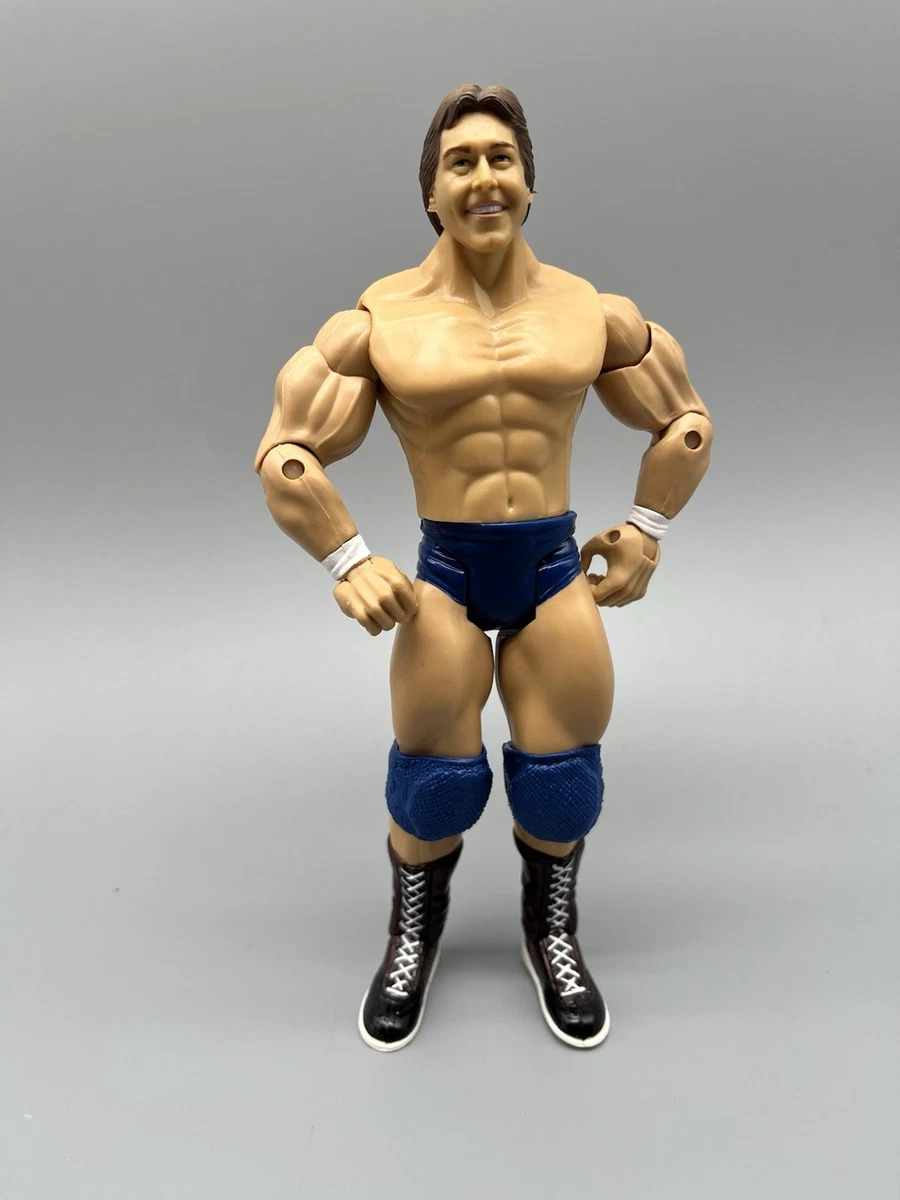 Wwe Classic Superstars Action Figures for sale | eBay