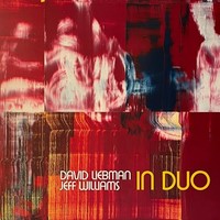 Dave Liebman Jeff - In Duo - Vinyl Record - G4Z