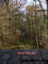 PHOTO  VIEW OF DISMANTLED RAILWAY LINE LOOKING EAST FROM INGRAM'S GREEN LANE THE