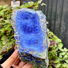 5.2LB Rare!! Natural beautiful Blue KYANITE with Quartz Crystal Specimen Rough