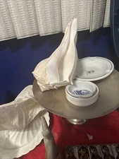 6" FLORIDA WELK FROM SANIBEL